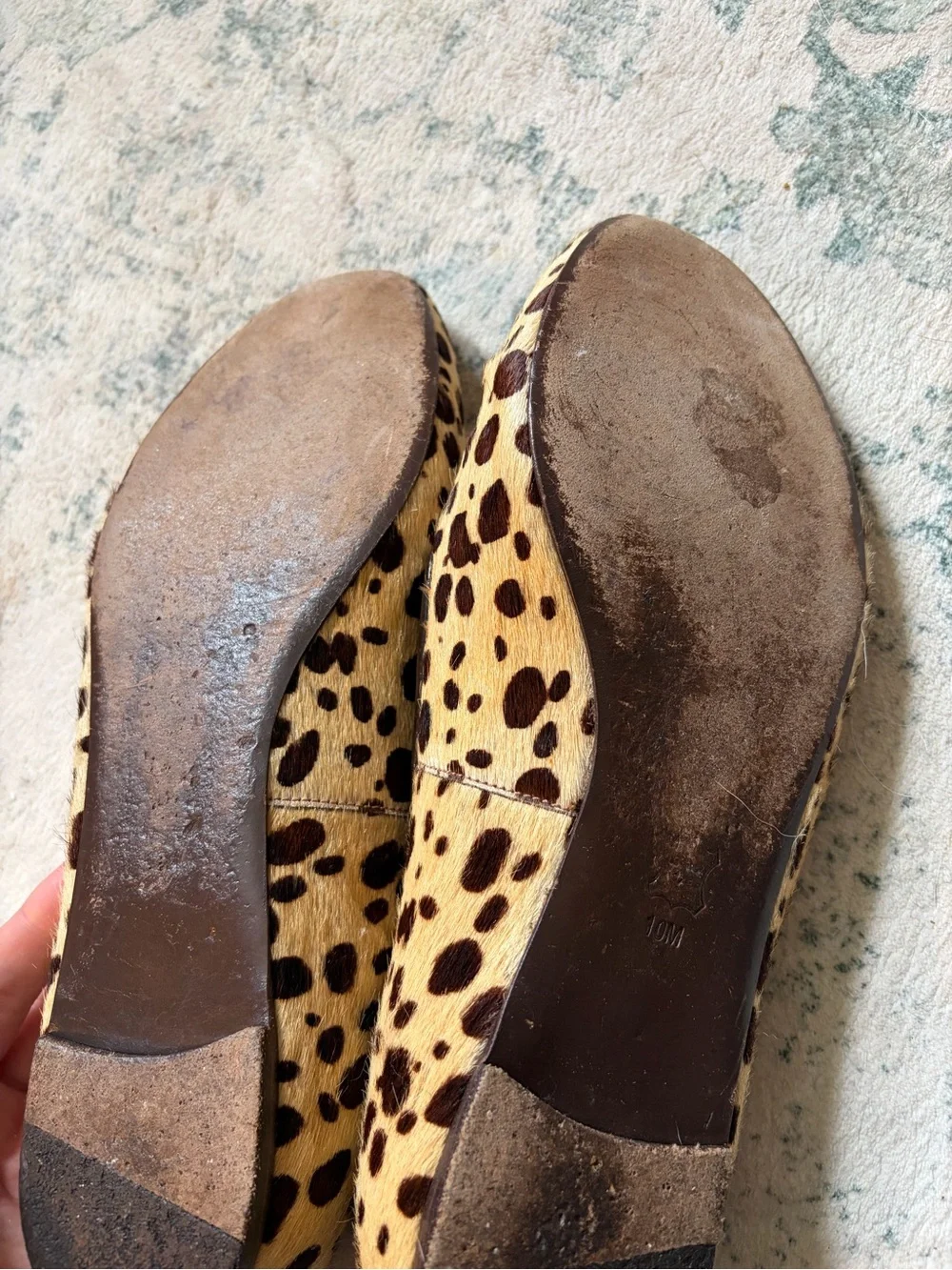 Tory Burch Leopard-Print Ballet Flats in Tan and Black with Logo Bow